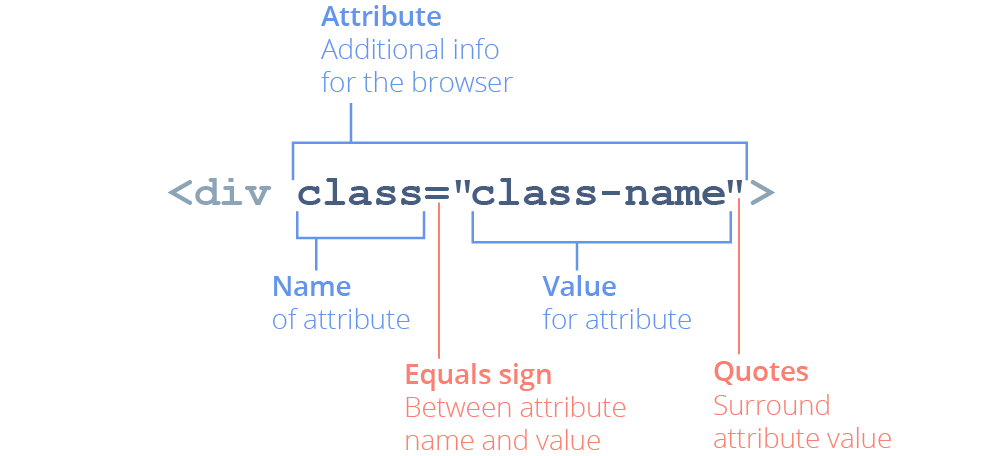 An example of a class attribute
